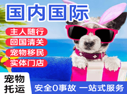 阜阳空运国际宠物托运 【国